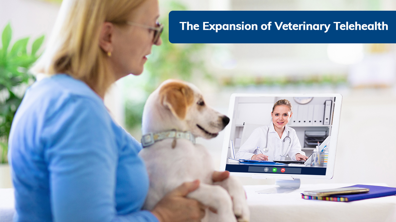 The Expansion of US Veterinary Telehealth Post Covid-19