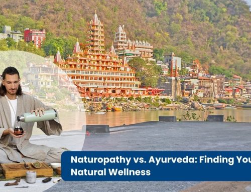 Naturopathy vs. Ayurveda: Finding Your Path to Natural Wellness