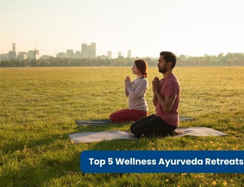 Top 5 Wellness Ayurveda Retreats in India