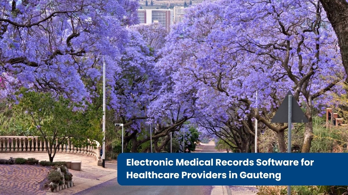 Healthcare software Gauteng