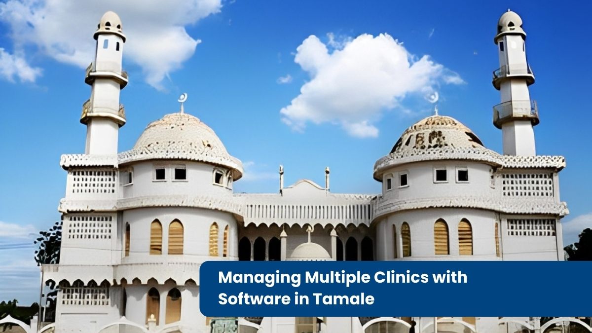 Multiple Software in Tamale