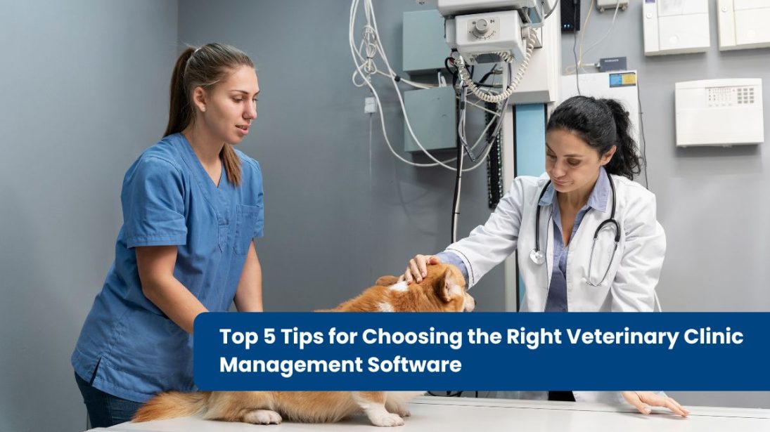 Top 5 Tips for Choosing the Right Veterinary Clinic Management Software